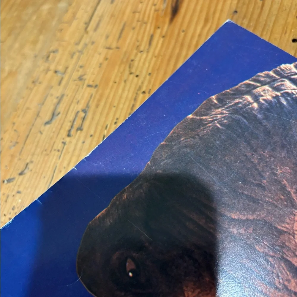 VTG RARE 1992 JURASSIC PARK Trapper Keeper Notebook